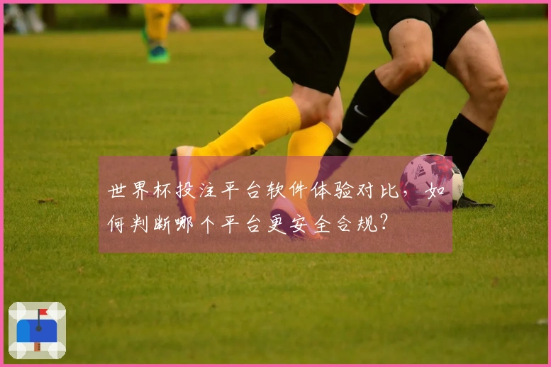 世界杯投注平台软件体验对比,如何判断哪个平台更安全合规?