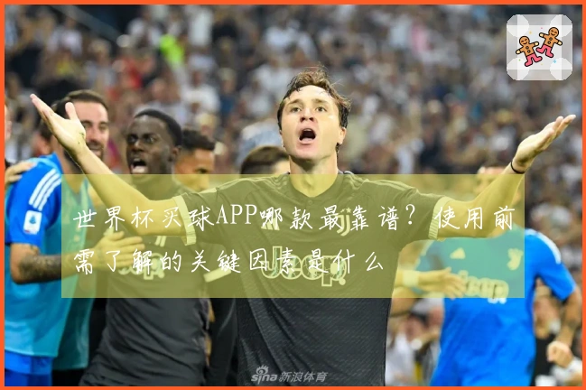 世界杯买球APP哪款最靠谱?使用前需了解的关键因素是什么
