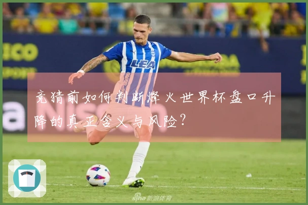 竞猜前如何判断烽火世界杯盘口升降的真正含义与风险？