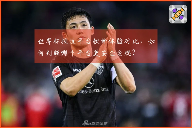 世界杯投注平台软件体验对比，如何判断哪个平台更安全合规？